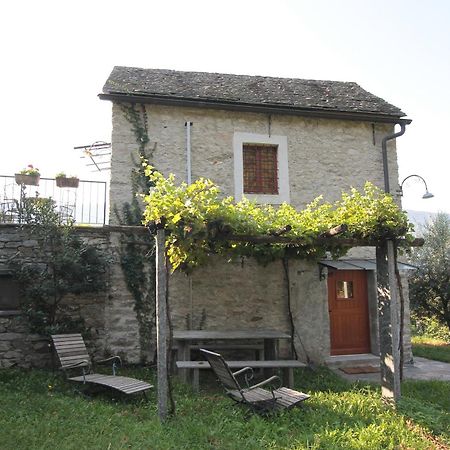 Fattoria L'Amorosa Sementina Oda fotoğraf