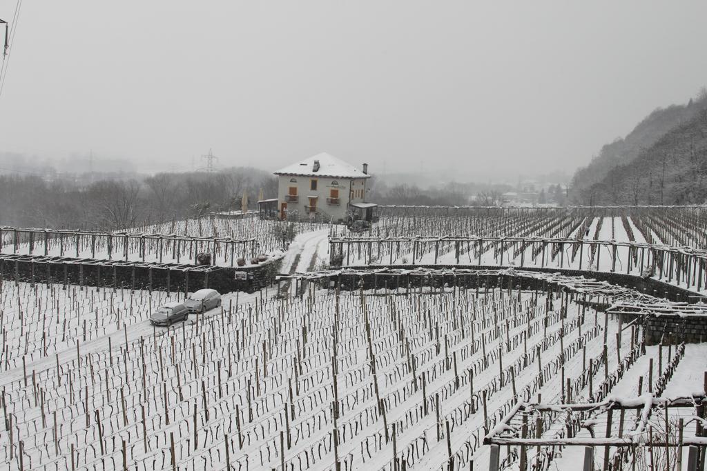 Fattoria L'Amorosa Sementina Dış mekan fotoğraf