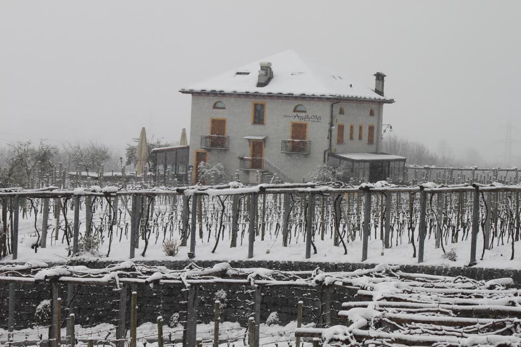 Fattoria L'Amorosa Sementina Dış mekan fotoğraf