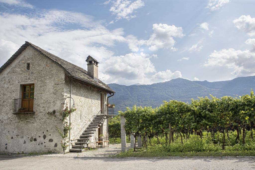 Fattoria L'Amorosa Sementina Dış mekan fotoğraf