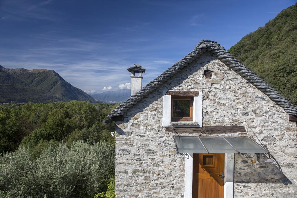 Fattoria L'Amorosa Sementina Oda fotoğraf