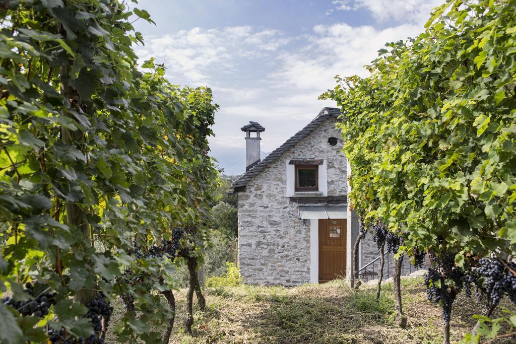 Fattoria L'Amorosa Sementina Dış mekan fotoğraf