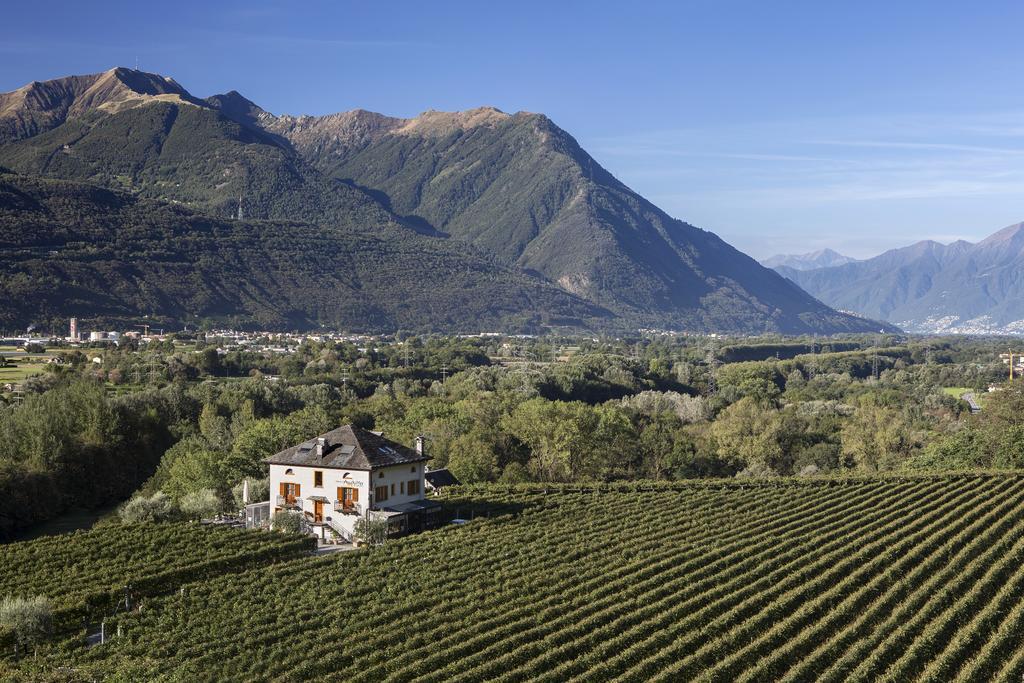 Fattoria L'Amorosa Sementina Dış mekan fotoğraf