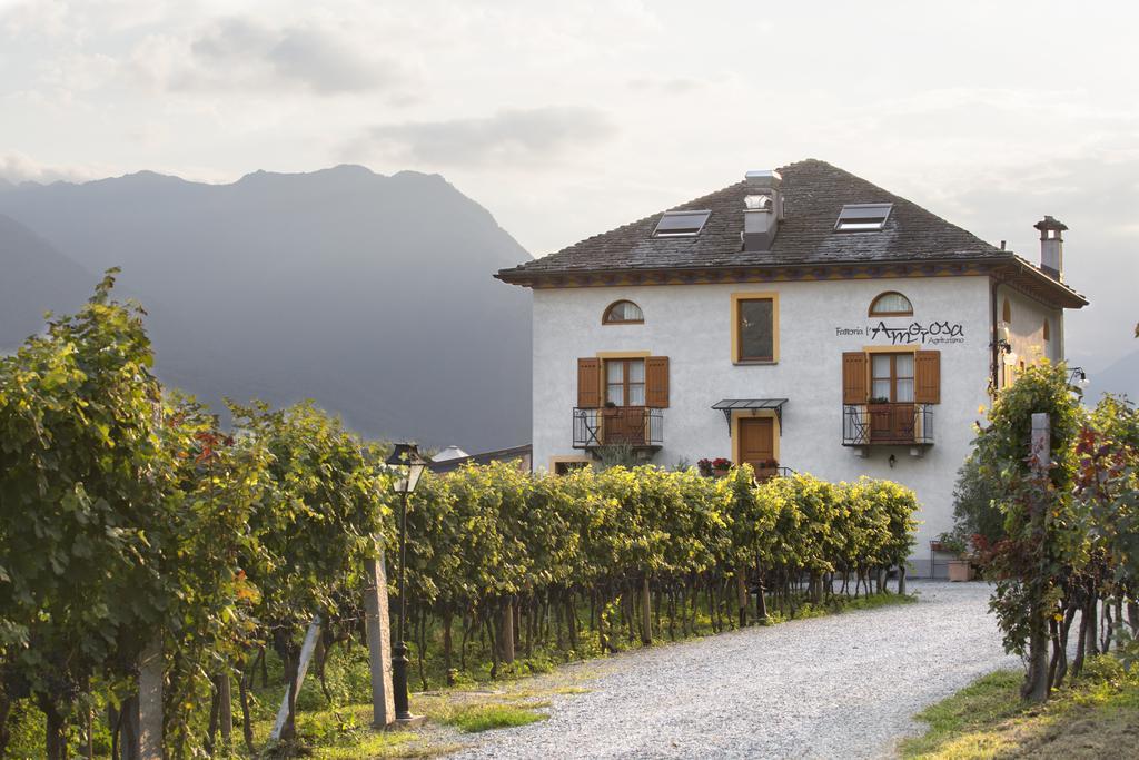 Fattoria L'Amorosa Sementina Dış mekan fotoğraf