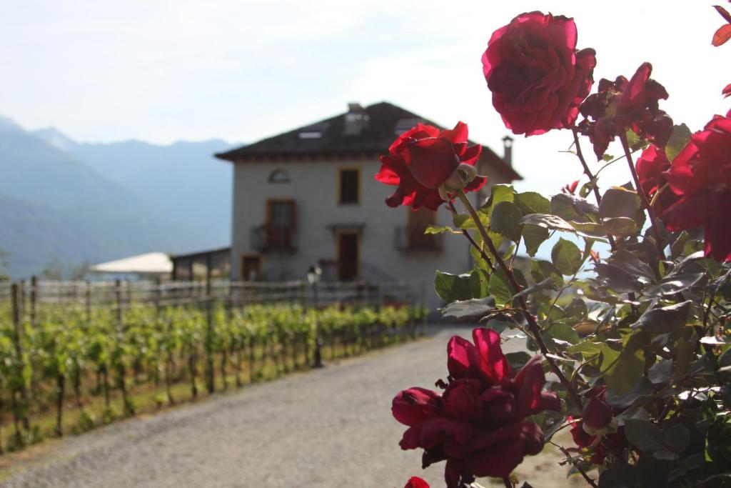 Fattoria L'Amorosa Sementina Dış mekan fotoğraf