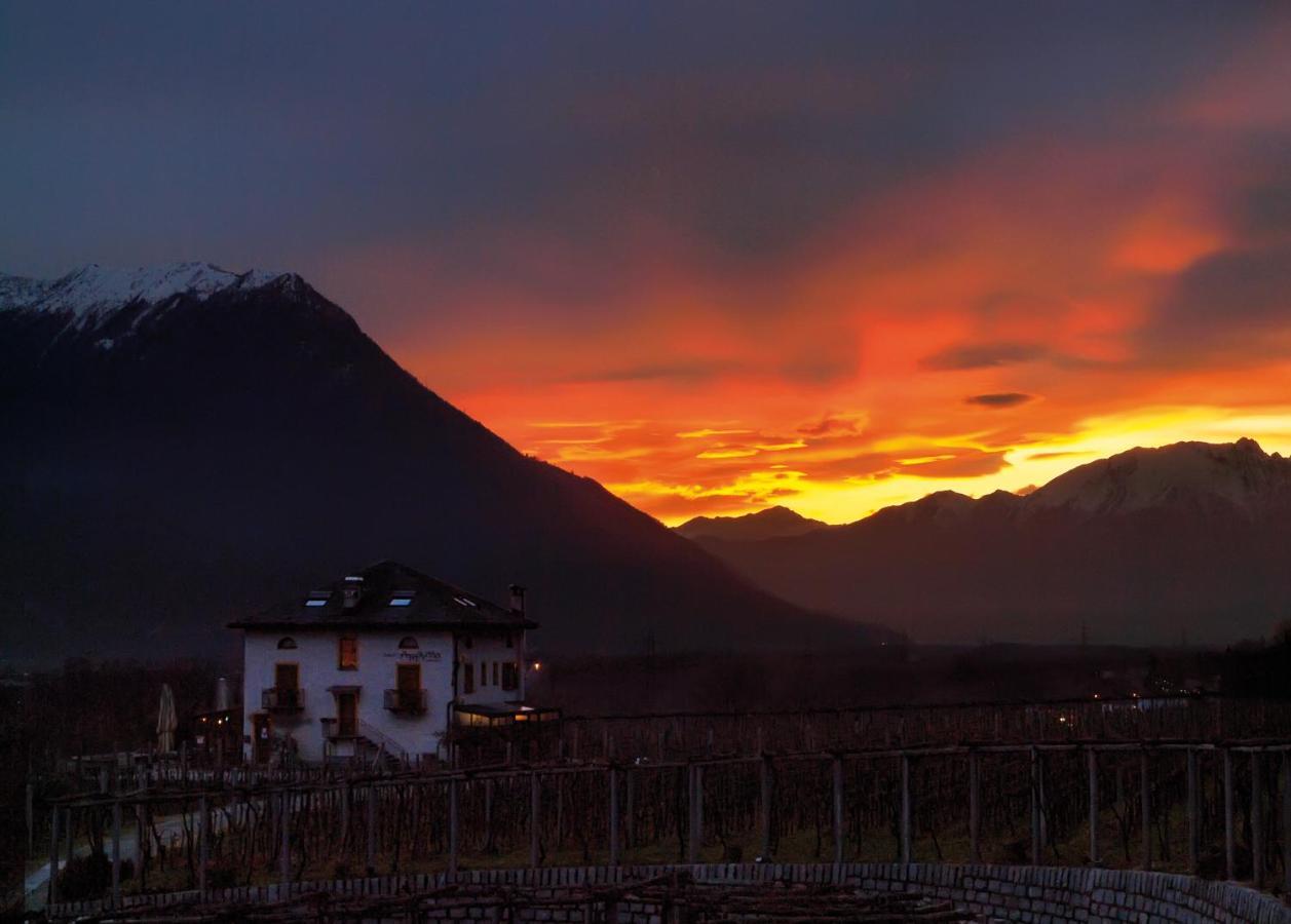 Fattoria L'Amorosa Sementina Dış mekan fotoğraf